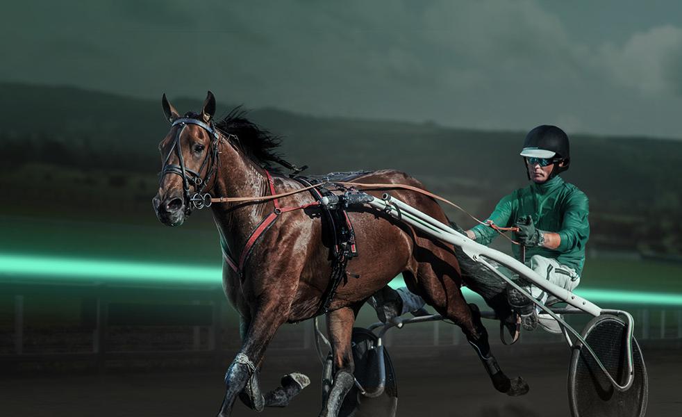 365 Mid+ Harness Racing